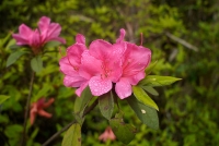 https://thismightnotbe.me/files/gimgs/th-249_260321-090717_a6400.jpg